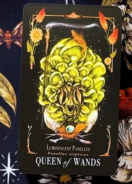 Midnight Magic: A Tarot Deck of Mushrooms